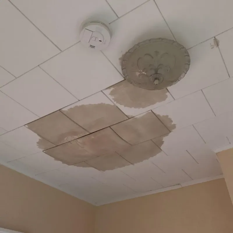 Ceiling Water Damage Repair in Rushville, IN