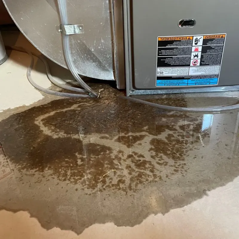 Pipe Burst and Leak Restoration in Rushville, IN
