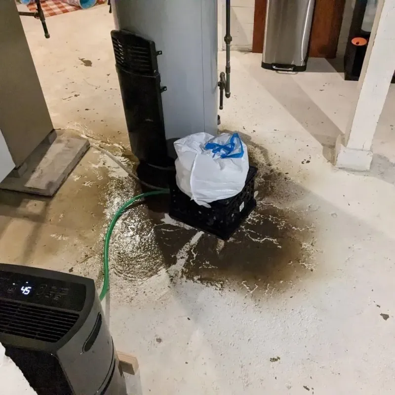 Sewage Backup Cleanup Service in Rushville, IN